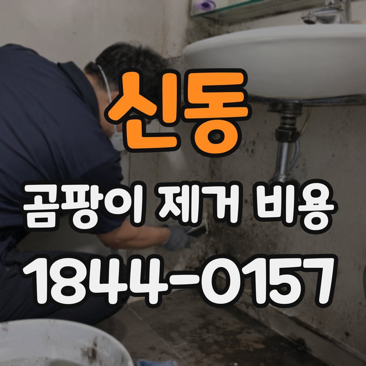 신동 곰팡이 제거 비용