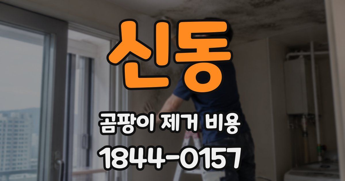 신동 곰팡이 제거 비용