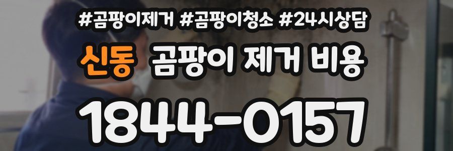 신동 곰팡이 제거 비용