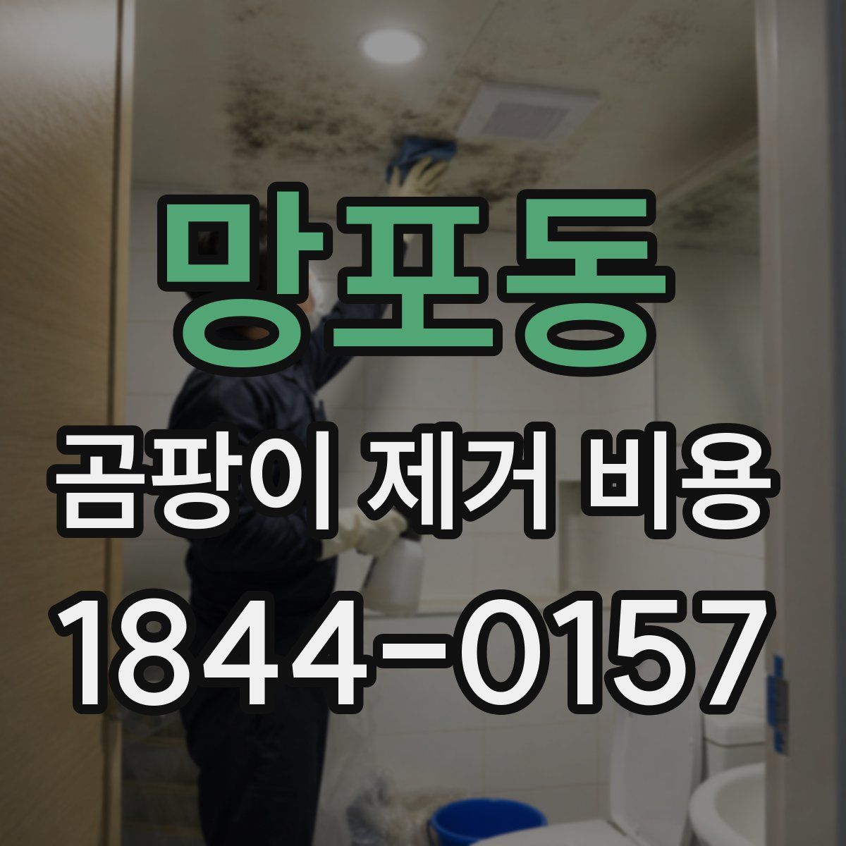 망포동 곰팡이 제거 비용