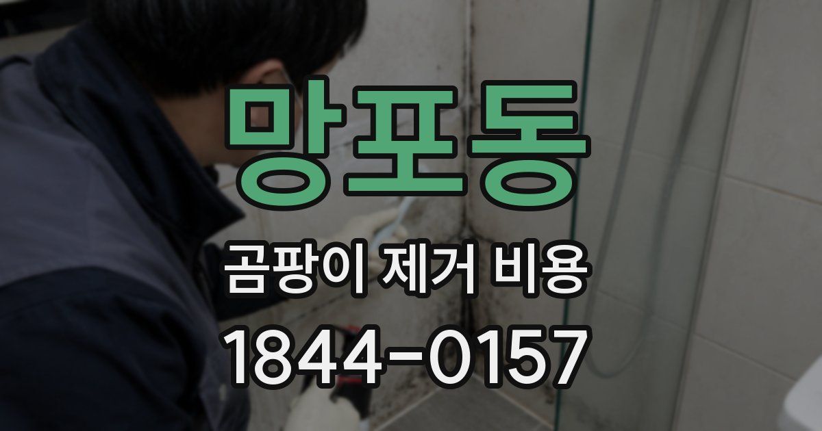 망포동 곰팡이 제거 비용