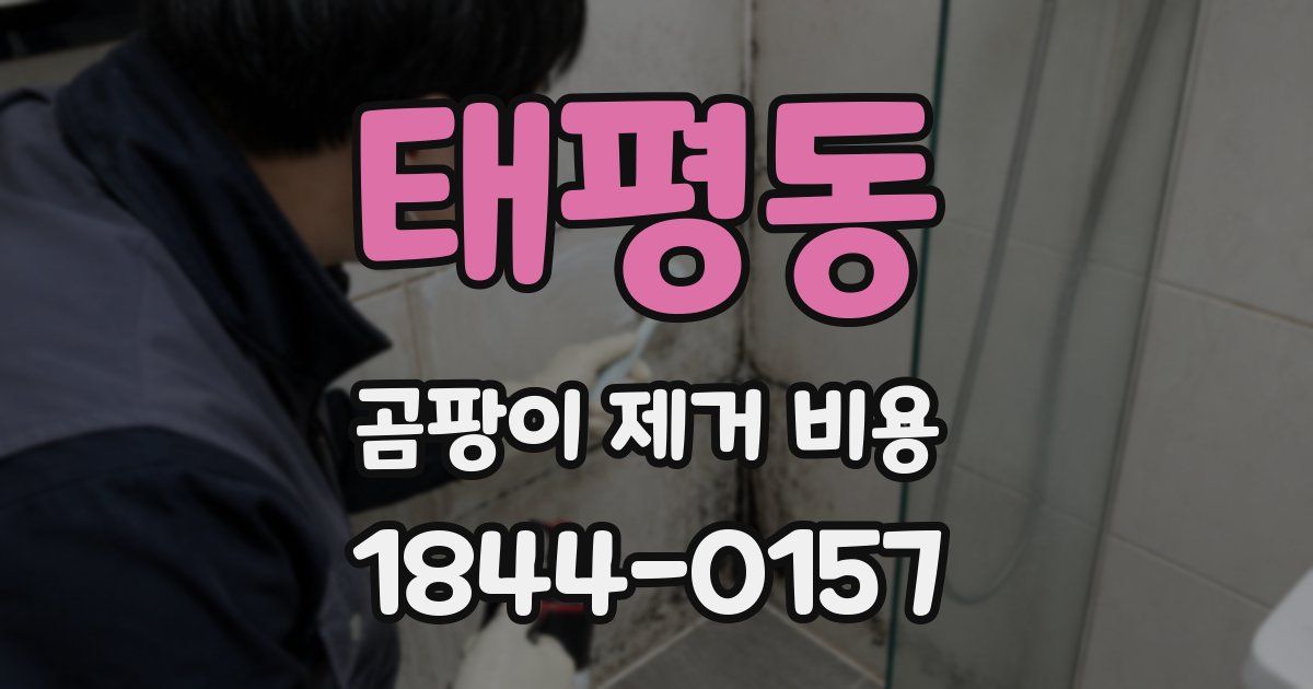 태평동 곰팡이 제거 비용