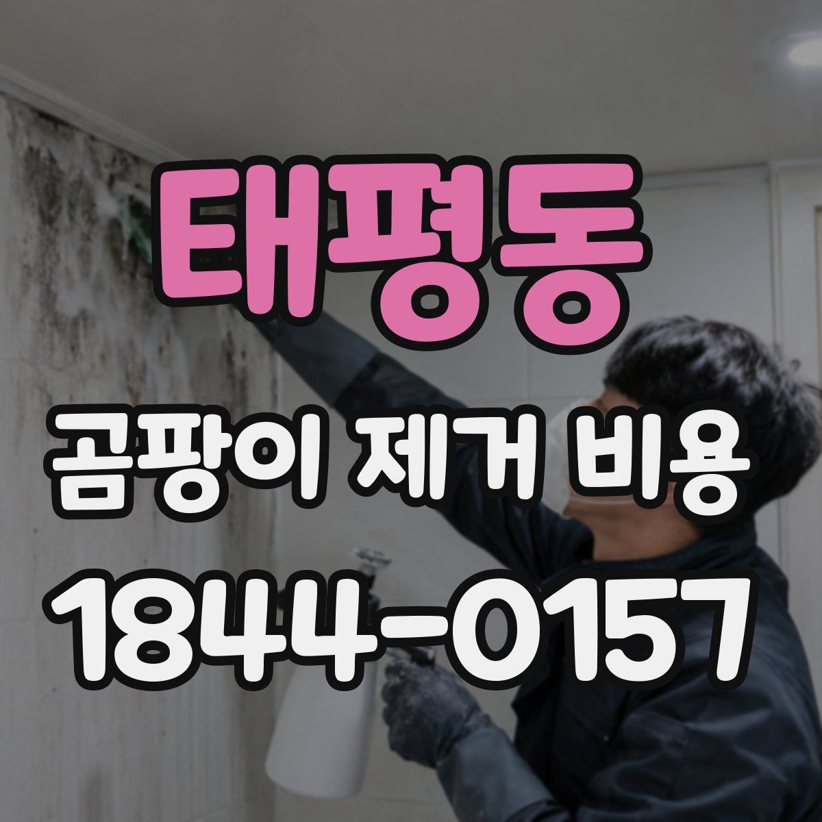 태평동 곰팡이 제거 비용
