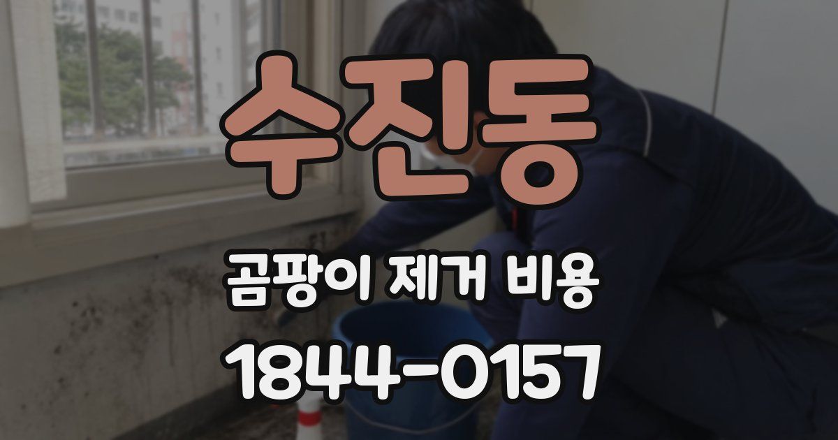 수진동 곰팡이 제거 비용