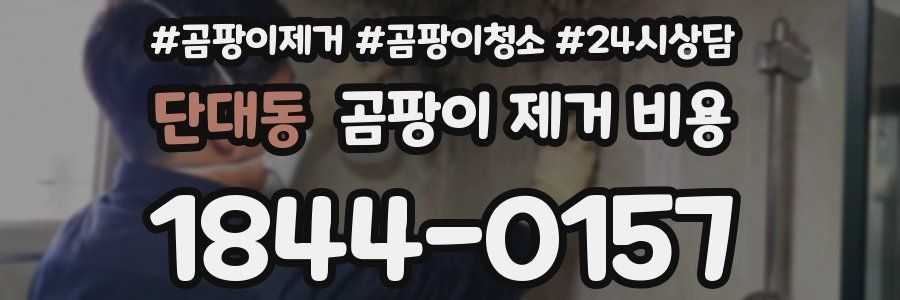 단대동 곰팡이 제거 비용