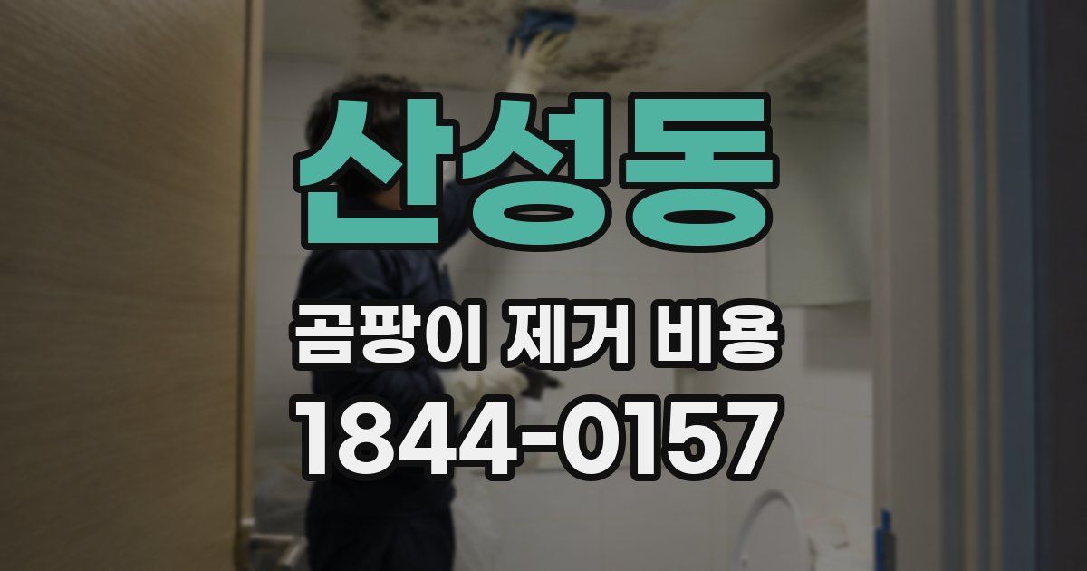 산성동 곰팡이 제거 비용