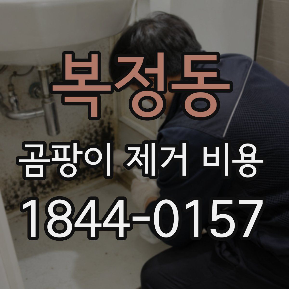 복정동 곰팡이 제거 비용