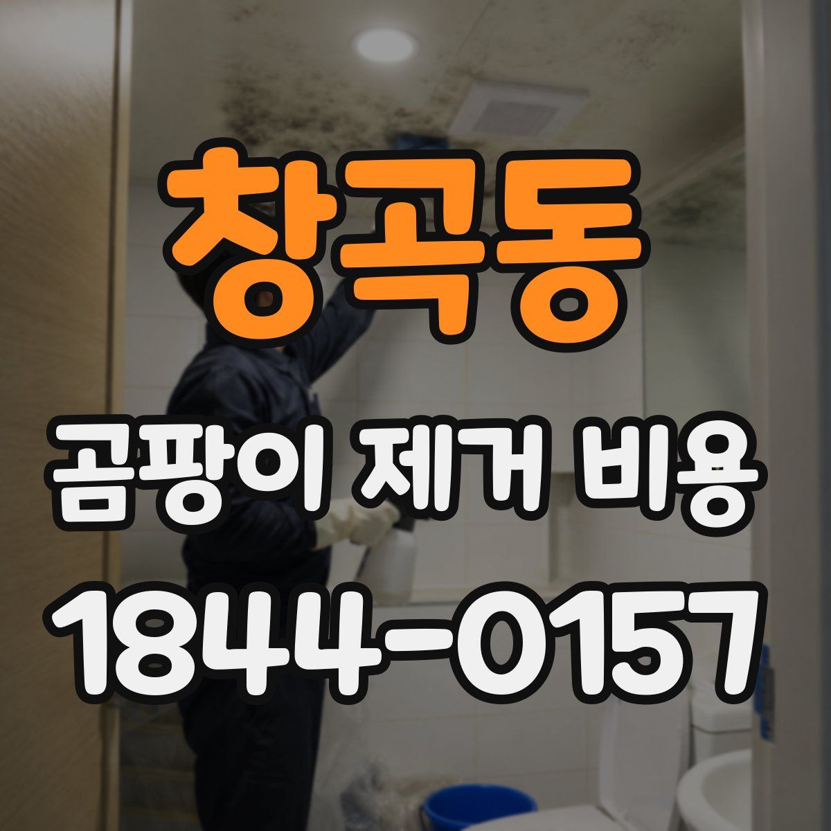 창곡동 곰팡이 제거 비용
