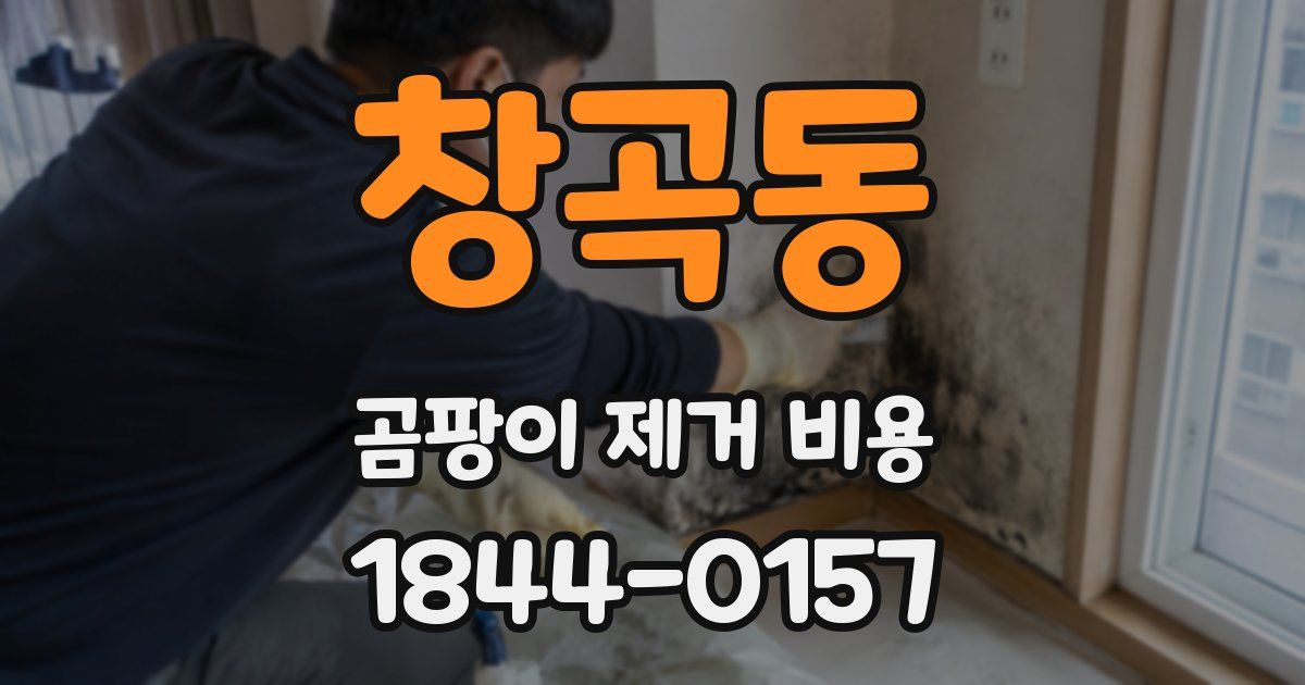 창곡동 곰팡이 제거 비용