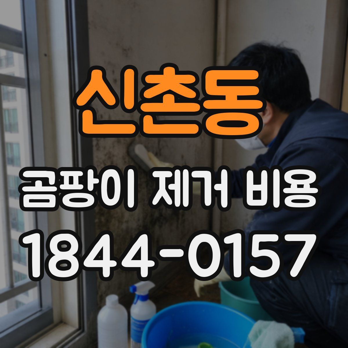 신촌동 곰팡이 제거 비용