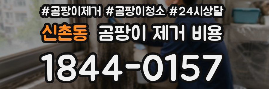 신촌동 곰팡이 제거 비용