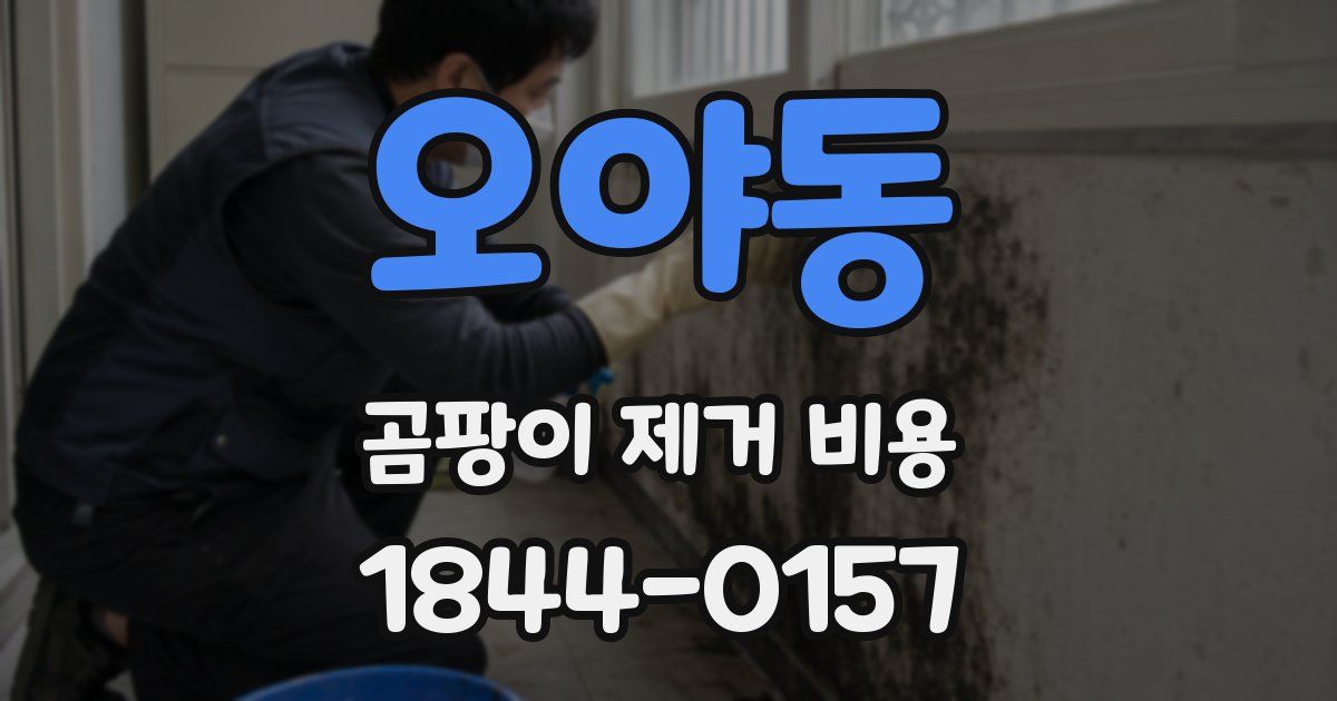 오야동 곰팡이 제거 비용