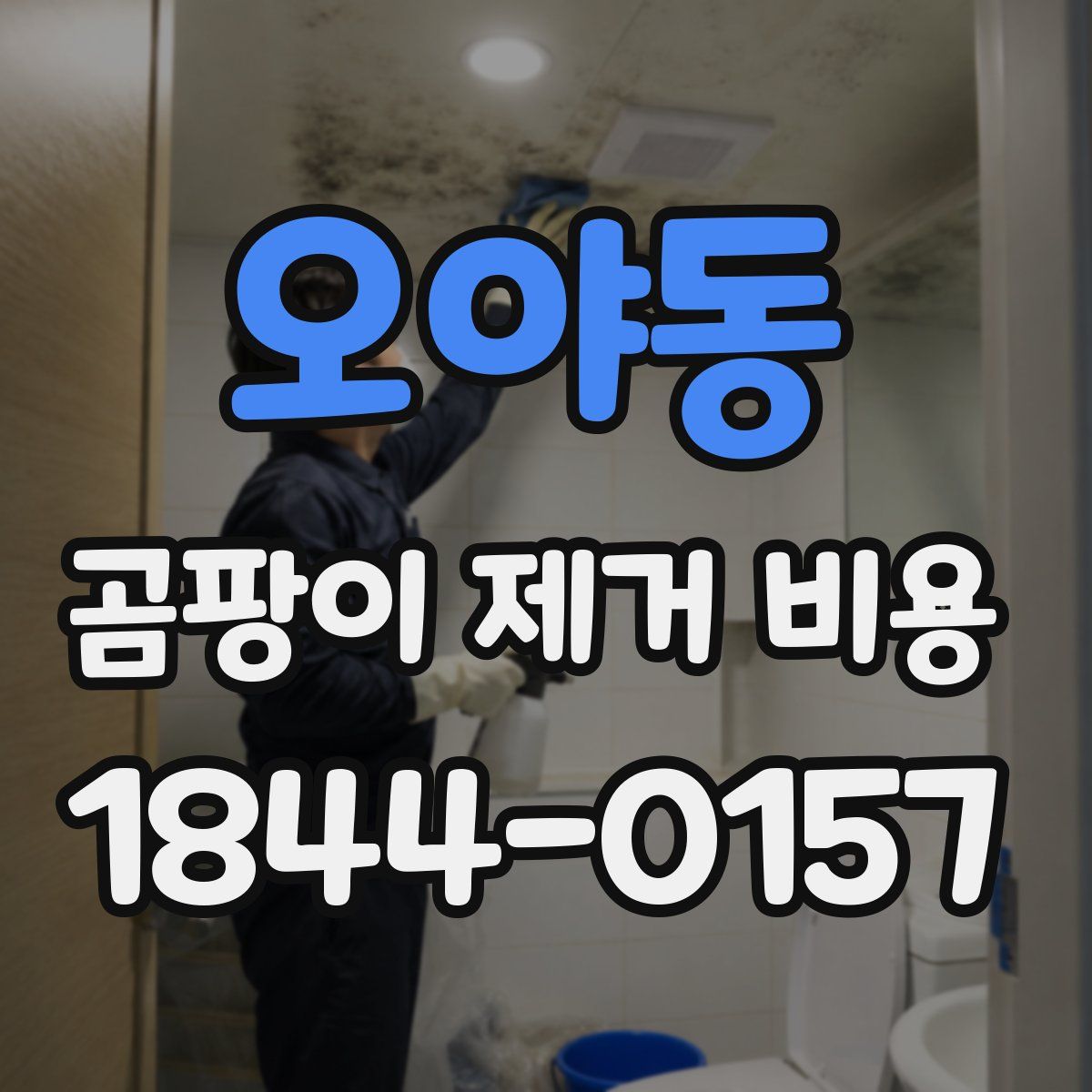 오야동 곰팡이 제거 비용