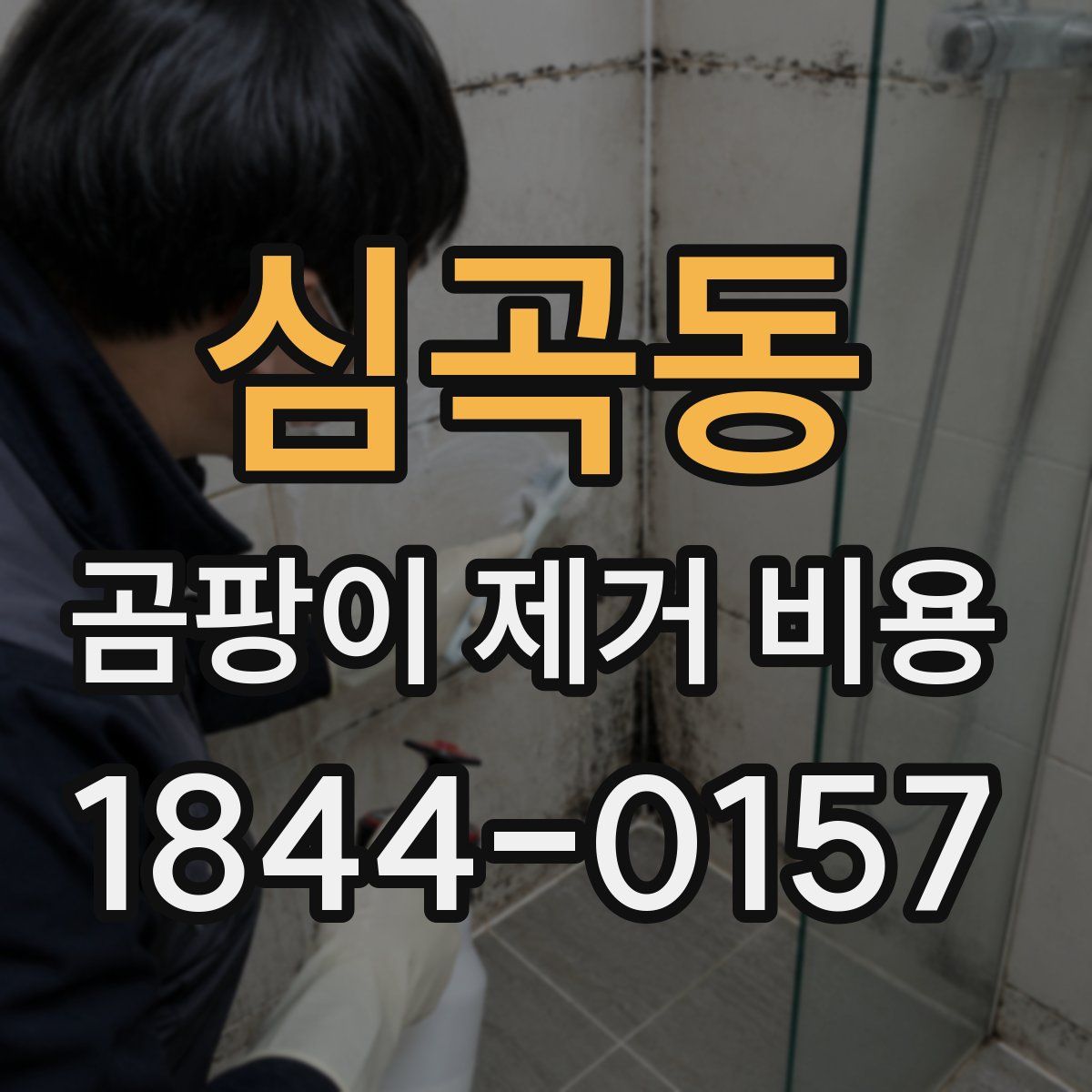 심곡동 곰팡이 제거 비용