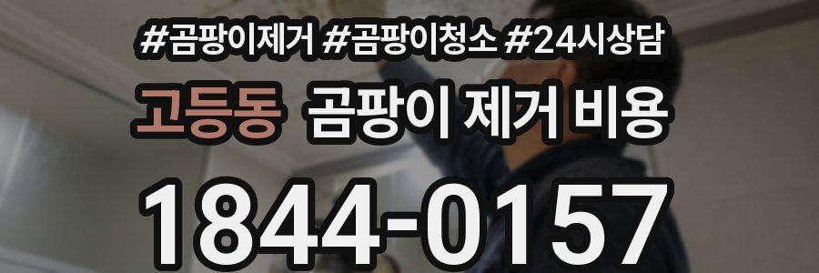 고등동 곰팡이 제거 비용