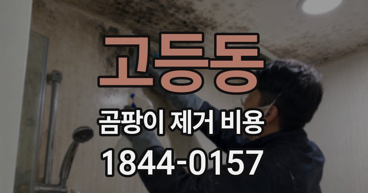 고등동 곰팡이 제거 비용