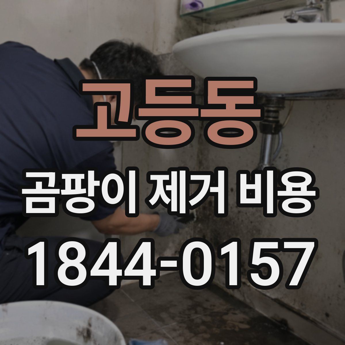 고등동 곰팡이 제거 비용