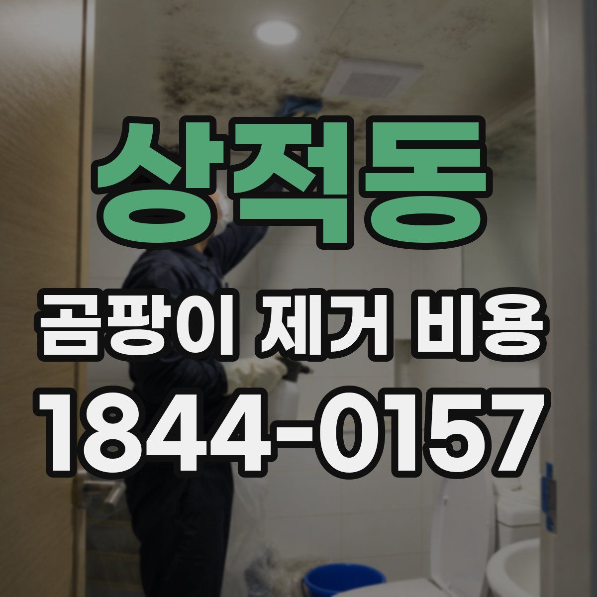 상적동 곰팡이 제거 비용