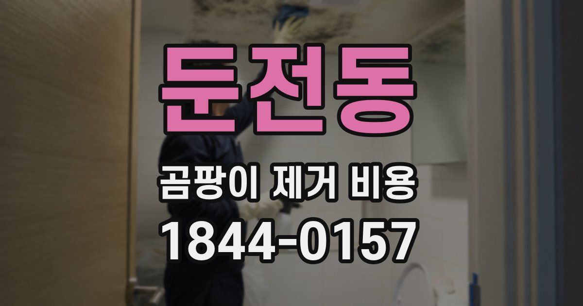 둔전동 곰팡이 제거 비용