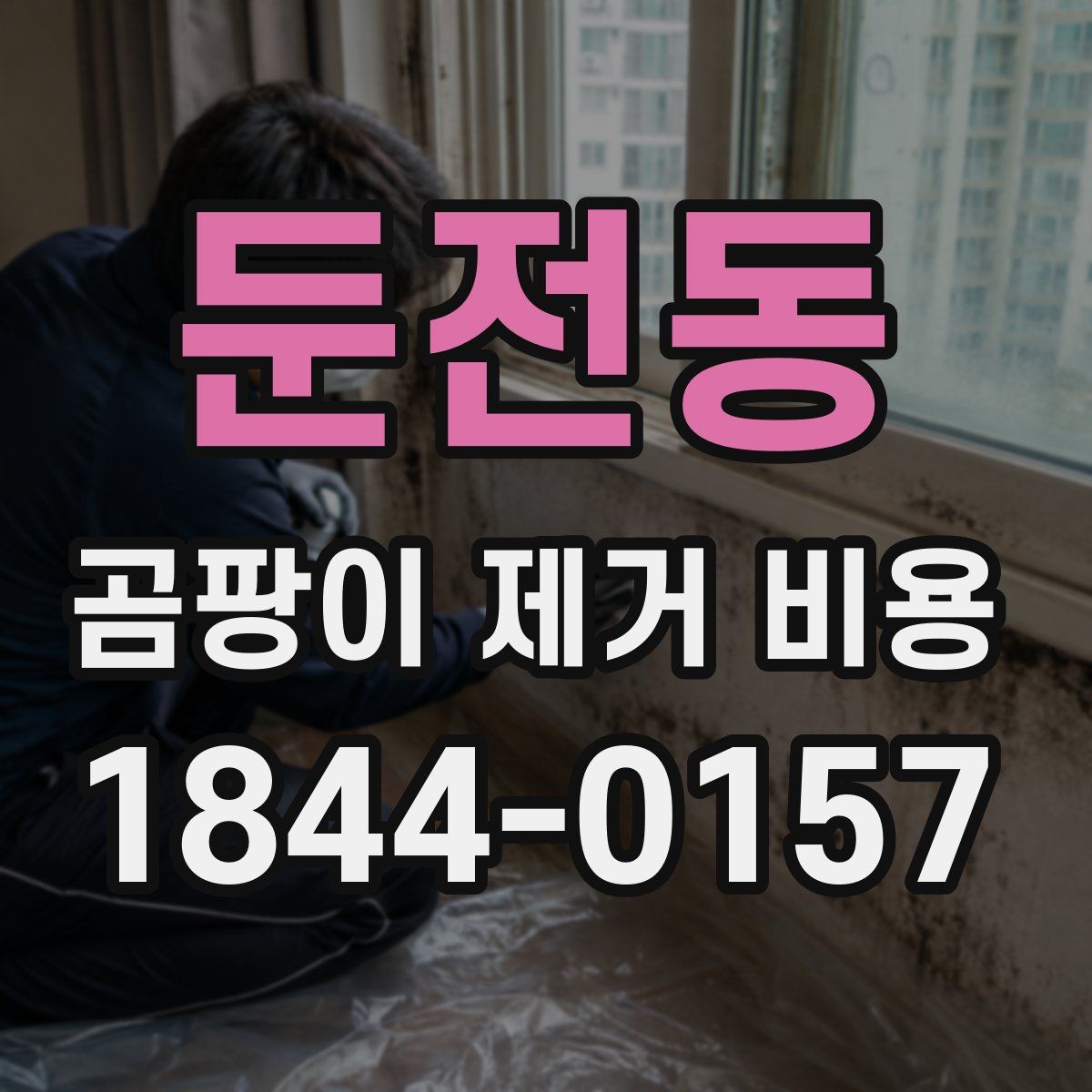 둔전동 곰팡이 제거 비용