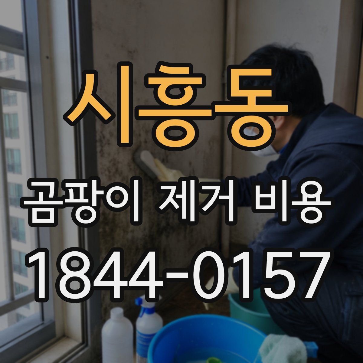 시흥동 곰팡이 제거 비용