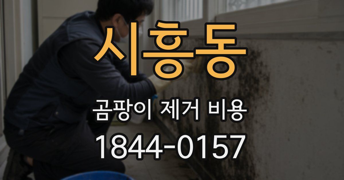시흥동 곰팡이 제거 비용