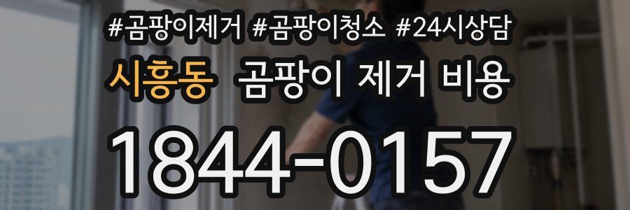 시흥동 곰팡이 제거 비용