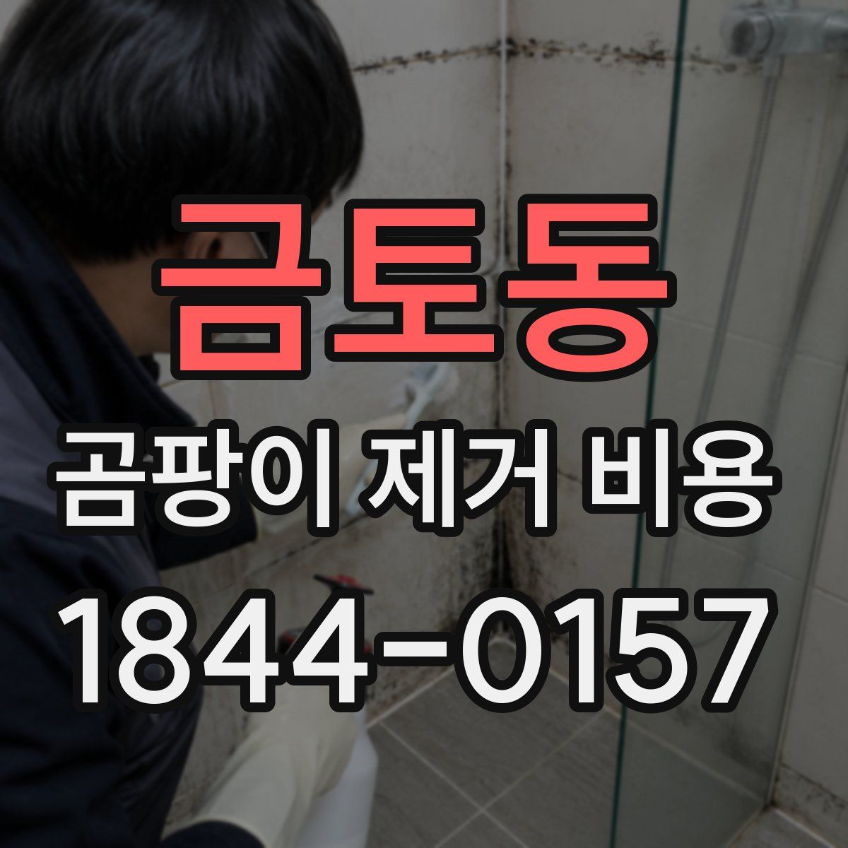 금토동 곰팡이 제거 비용