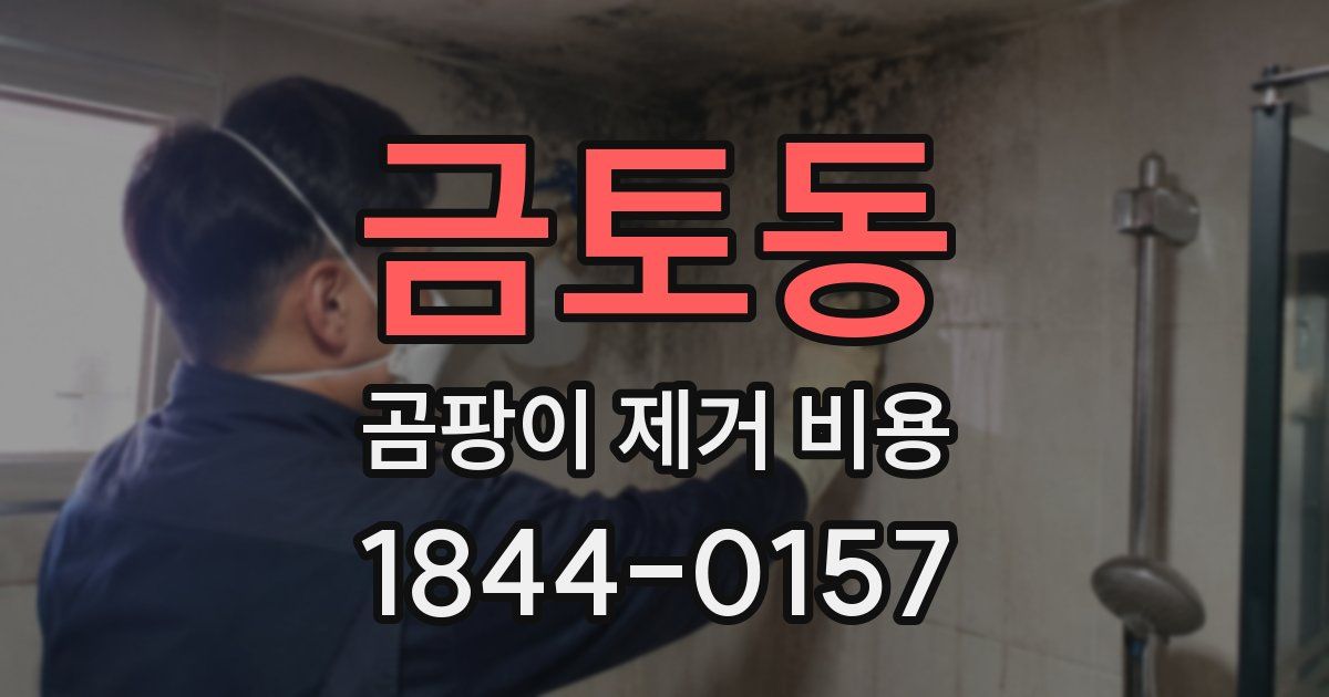 금토동 곰팡이 제거 비용