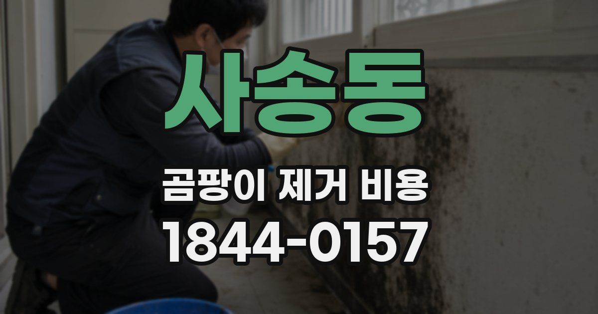 사송동 곰팡이 제거 비용