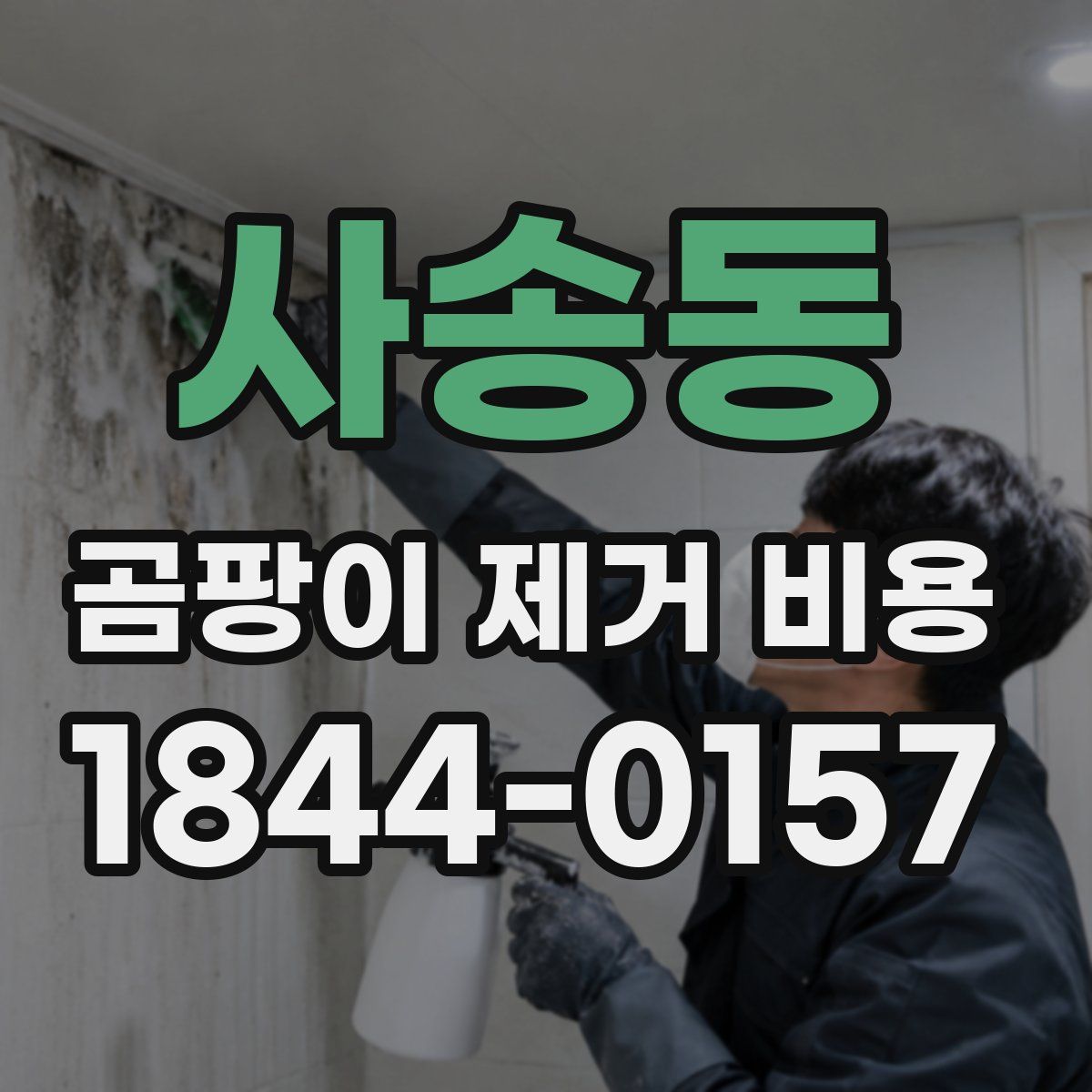 사송동 곰팡이 제거 비용