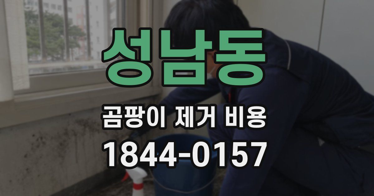 성남동 곰팡이 제거 비용