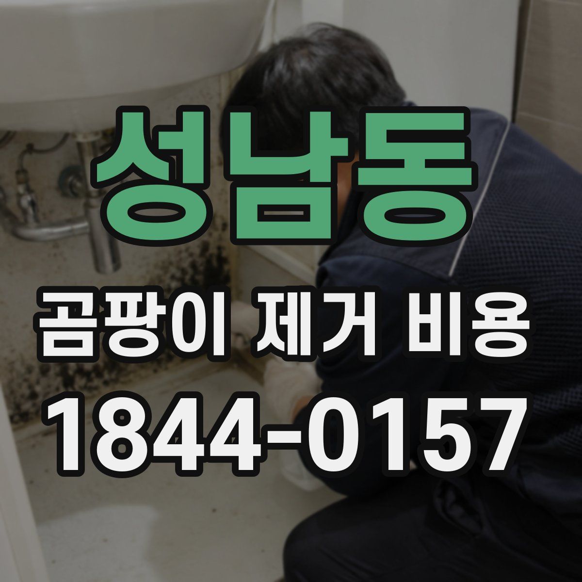 성남동 곰팡이 제거 비용
