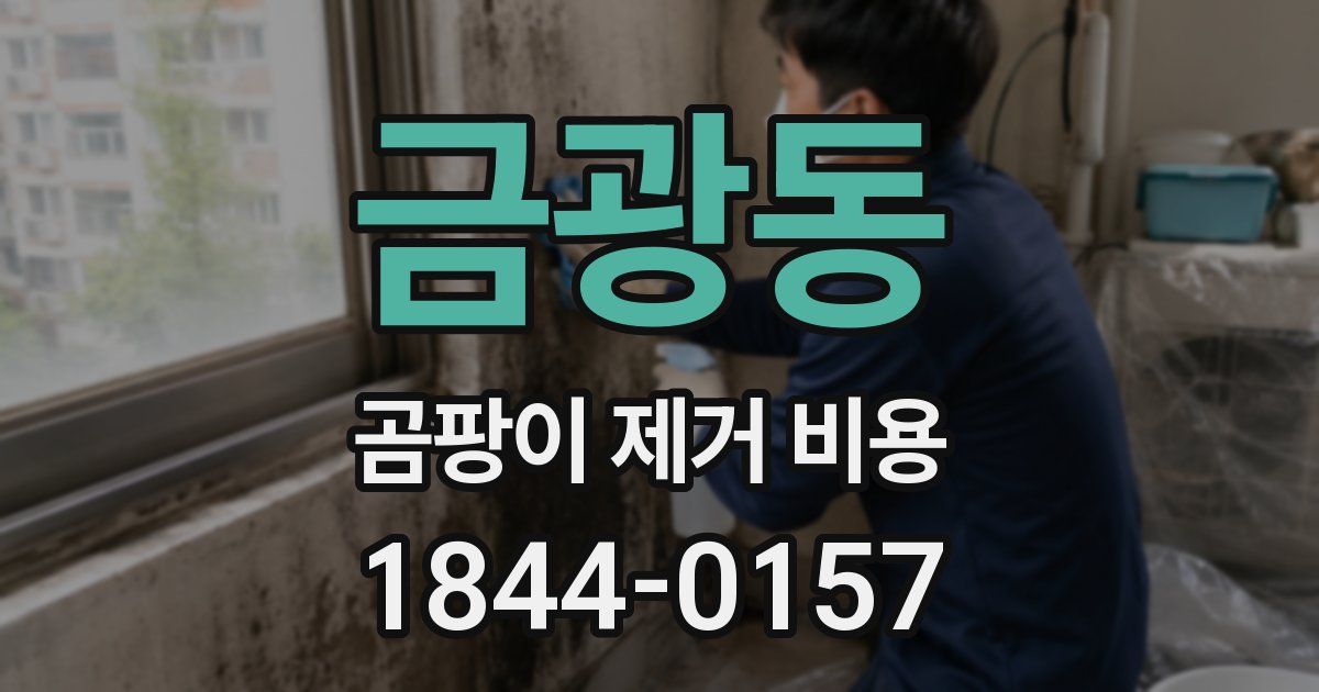 금광동 곰팡이 제거 비용