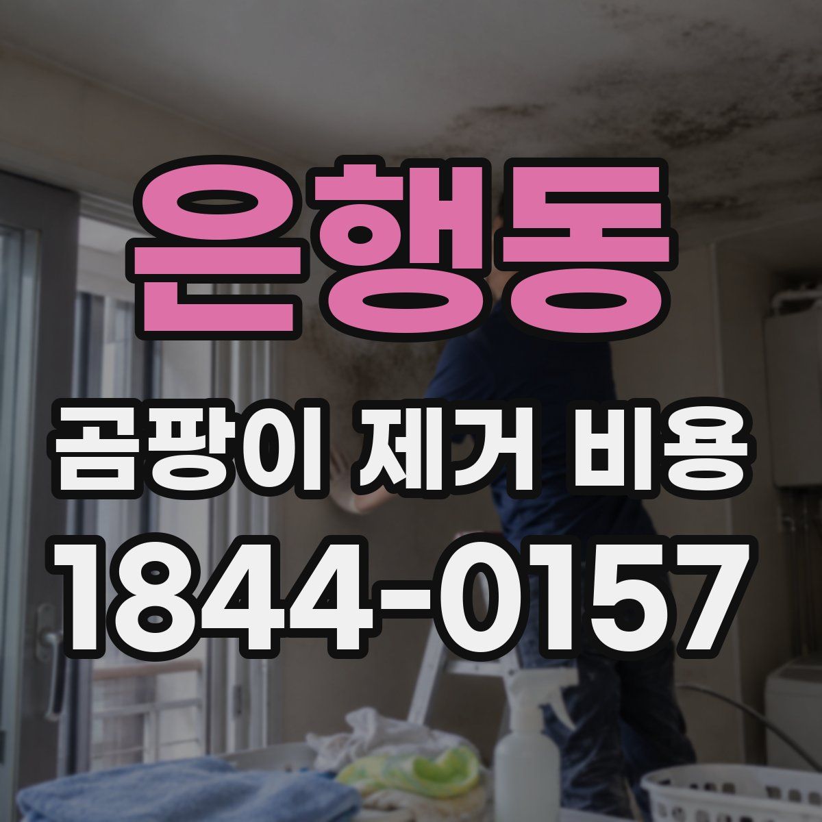 은행동 곰팡이 제거 비용