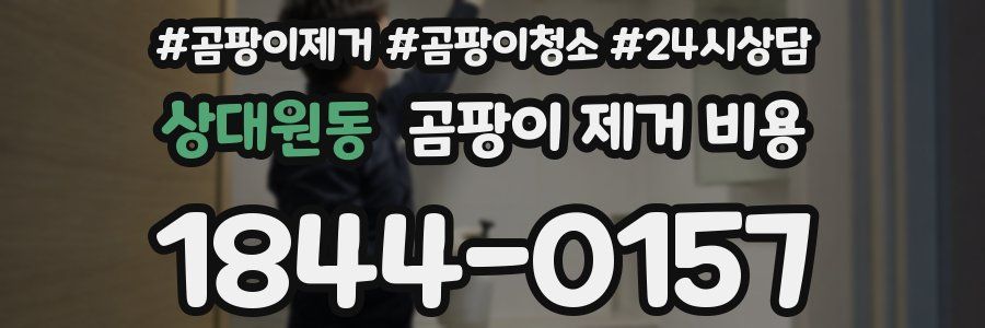 상대원동 곰팡이 제거 비용
