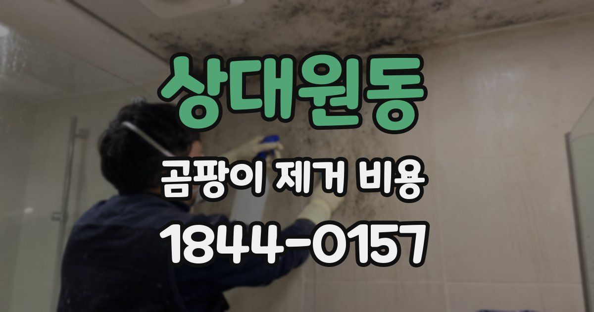 상대원동 곰팡이 제거 비용