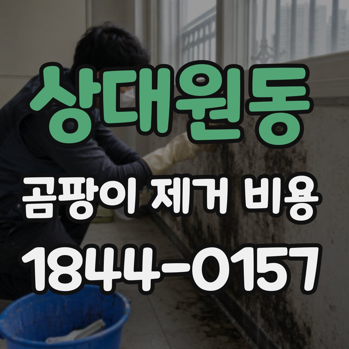 상대원동 곰팡이 제거 비용
