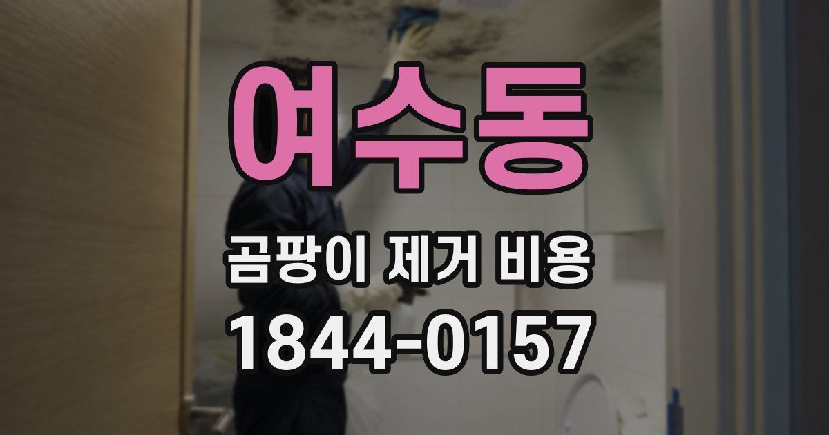 여수동 곰팡이 제거 비용
