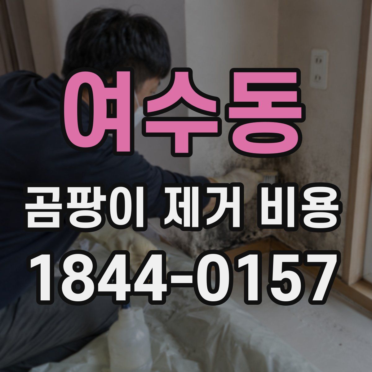 여수동 곰팡이 제거 비용