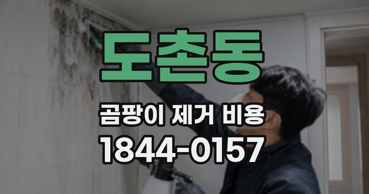 도촌동 곰팡이 제거 비용