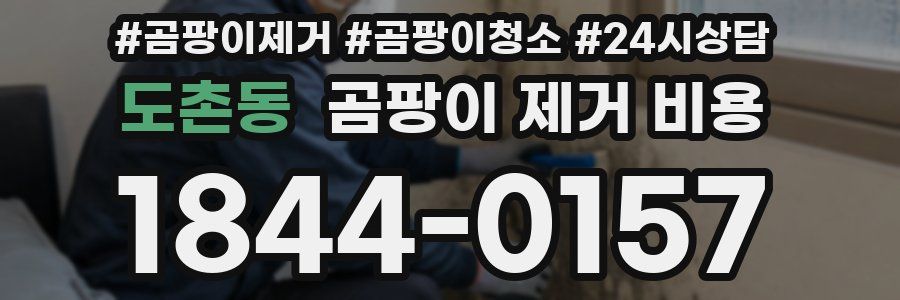 도촌동 곰팡이 제거 비용