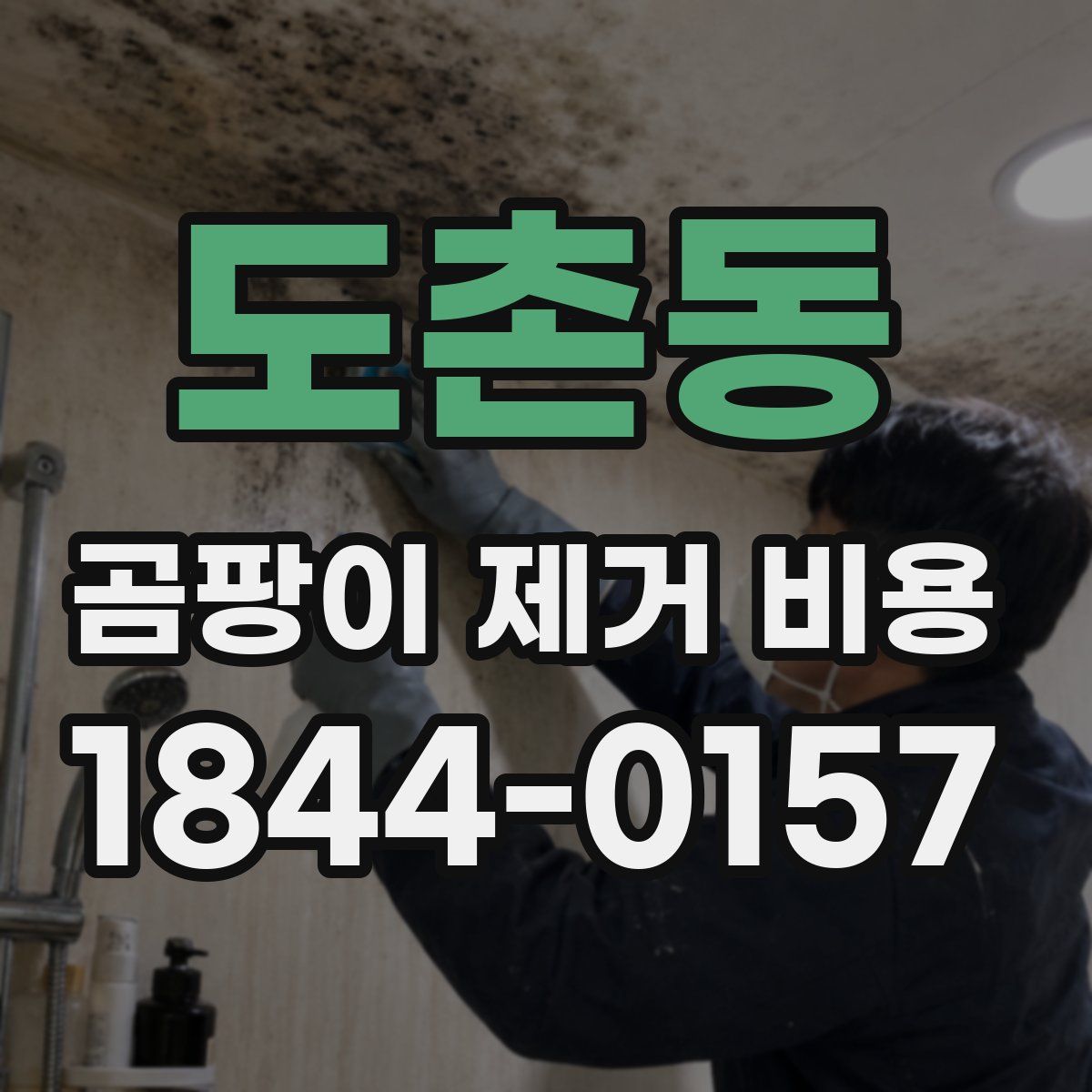 도촌동 곰팡이 제거 비용