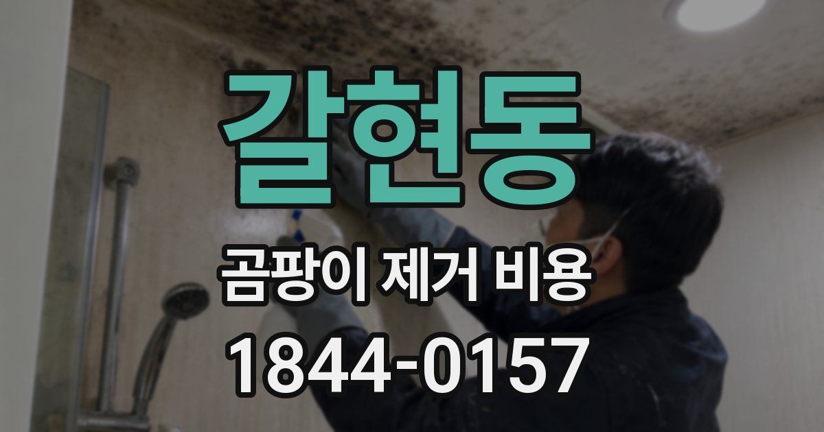갈현동 곰팡이 제거 비용