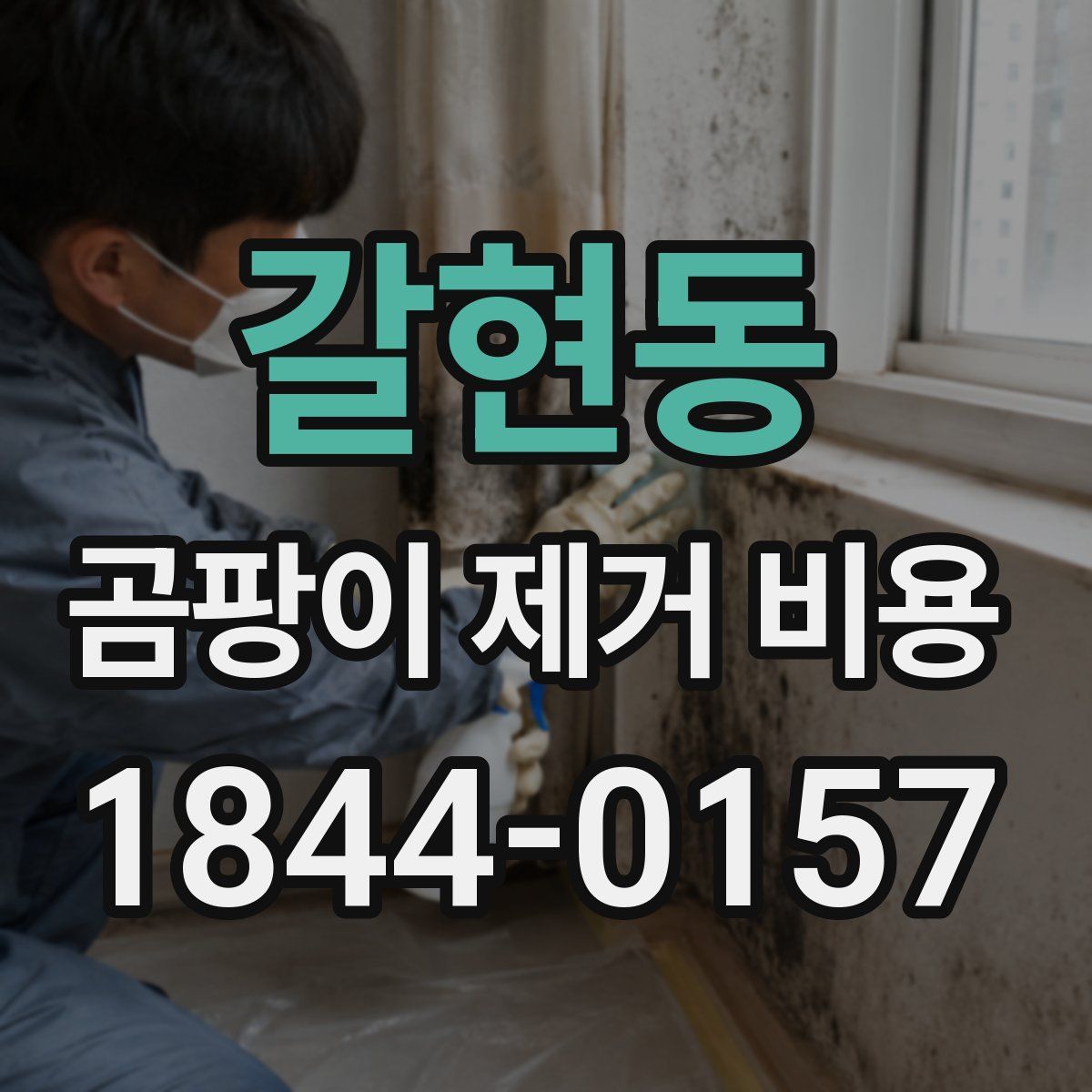 갈현동 곰팡이 제거 비용