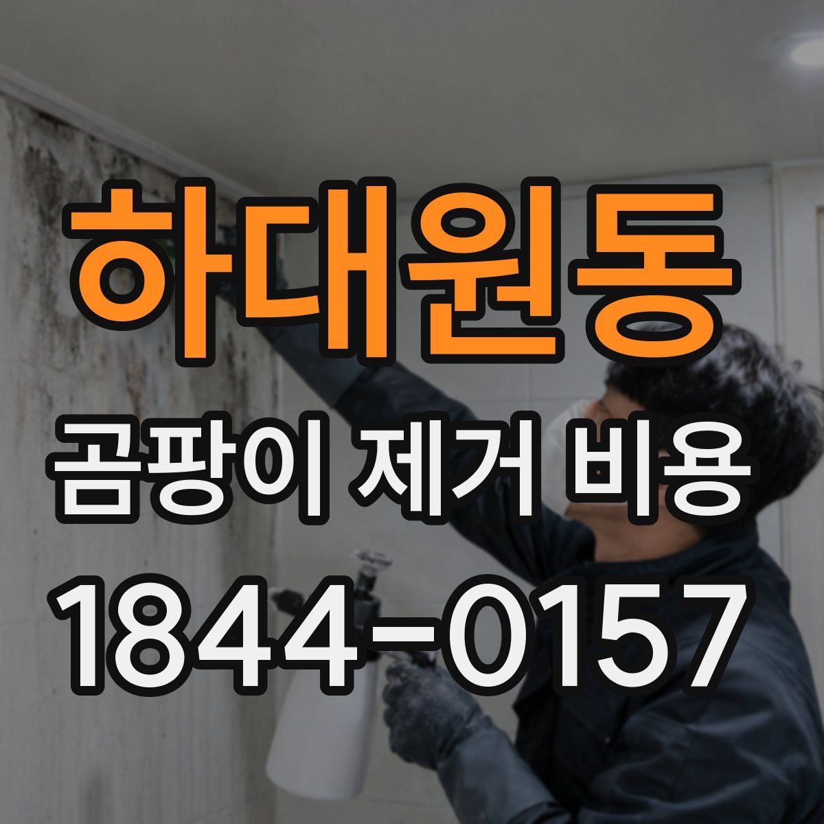 하대원동 곰팡이 제거 비용
