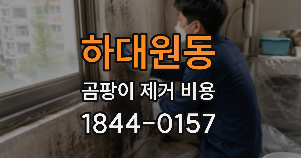 하대원동 곰팡이 제거 비용