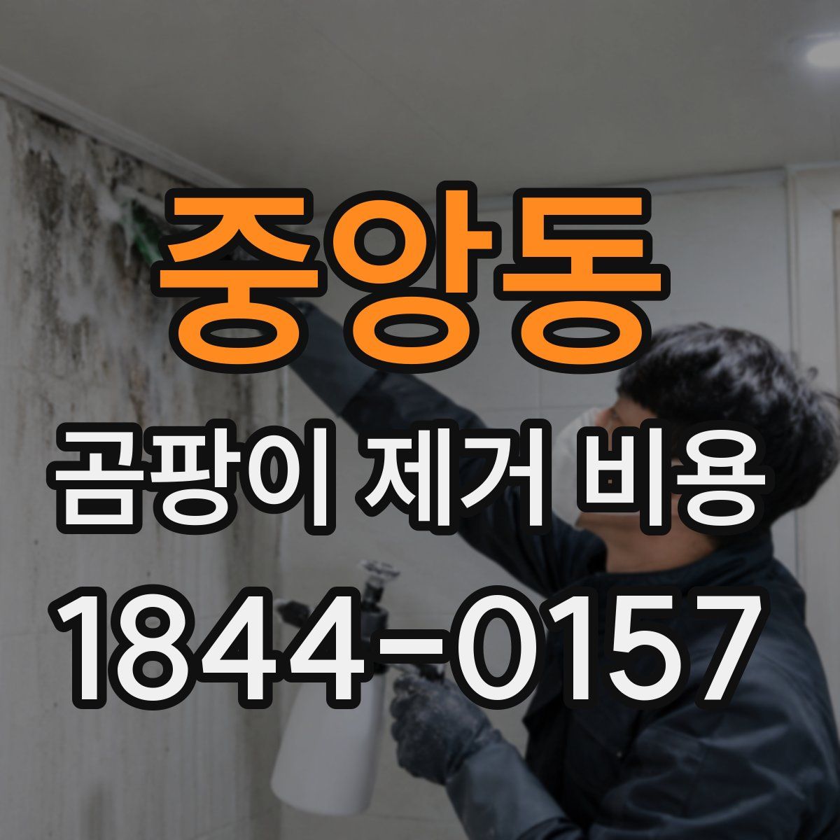 중앙동 곰팡이 제거 비용