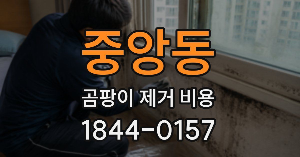 중앙동 곰팡이 제거 비용