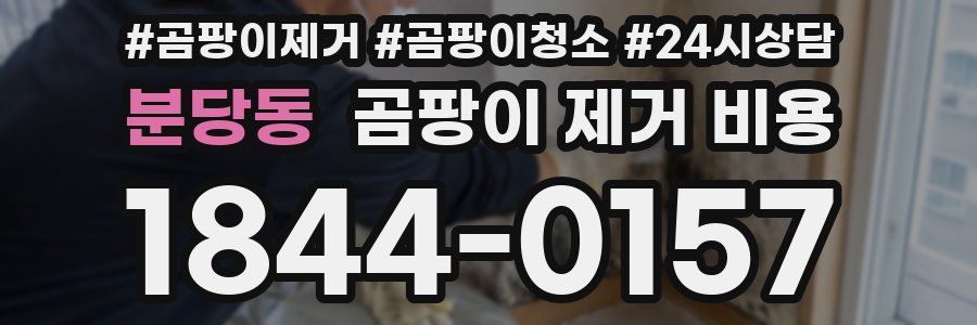분당동 곰팡이 제거 비용